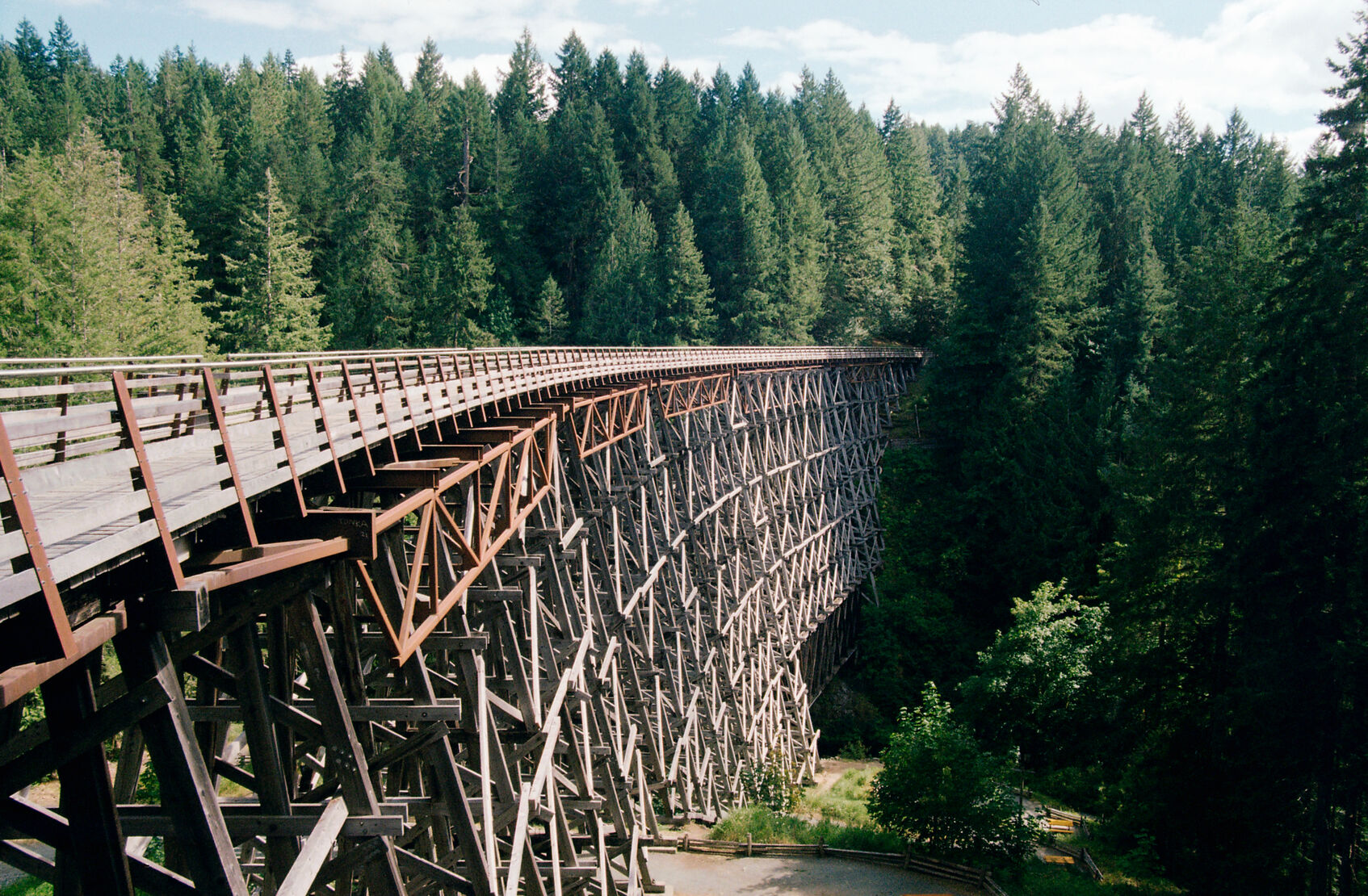 A photo of an old large wooden railway trestle bridge in the middle of the forest.